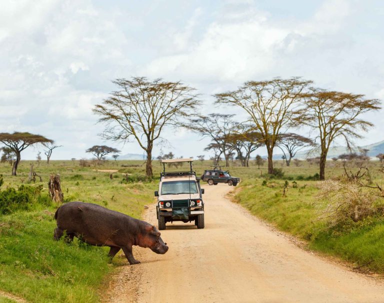 Top 10 Hidden Gems to Explore in Tanzania